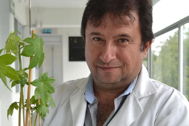 Con bacterias, investigadores BUAP estabilizan metales pesados en suelos