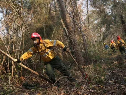 Anuncia Evo Morales extinción total de incendios en Bolivia