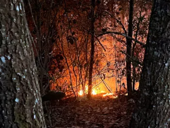 Ráfagas de viento evitan desplazamiento de ayuda aérea para sofocar el incendio forestal en Zacatlán: Céspedes