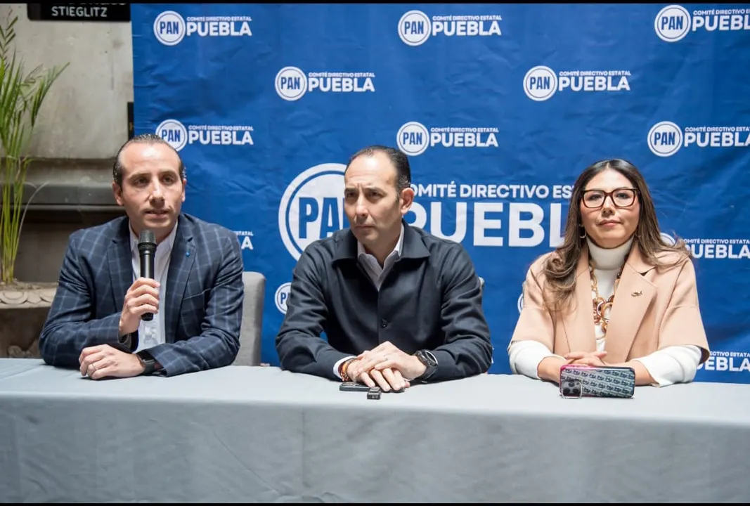 Cde Pan Pue Reforma Judicial