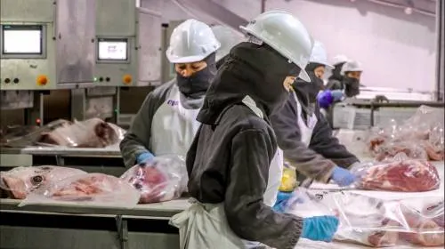 Crecen 67% exportaciones agroalimentarias de méxico a la Península Arábiga: Sagarpa