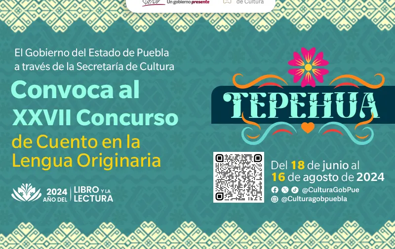 Imagen 6