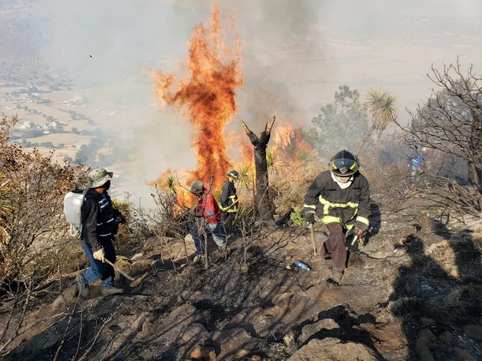 Incendio forestal