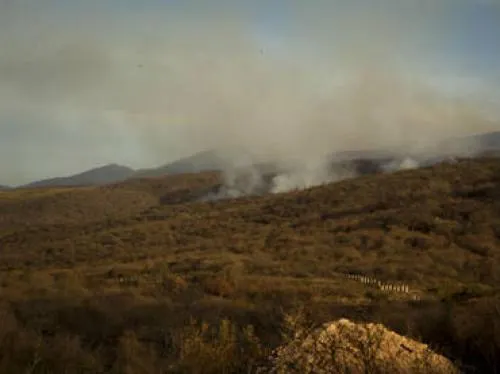 Por el aumento de calor, prevén más incendios