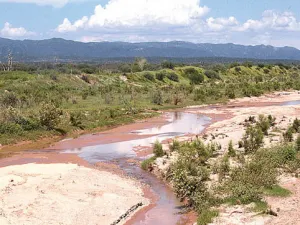 Profepa denuncia a Grupo México por crisis ambiental