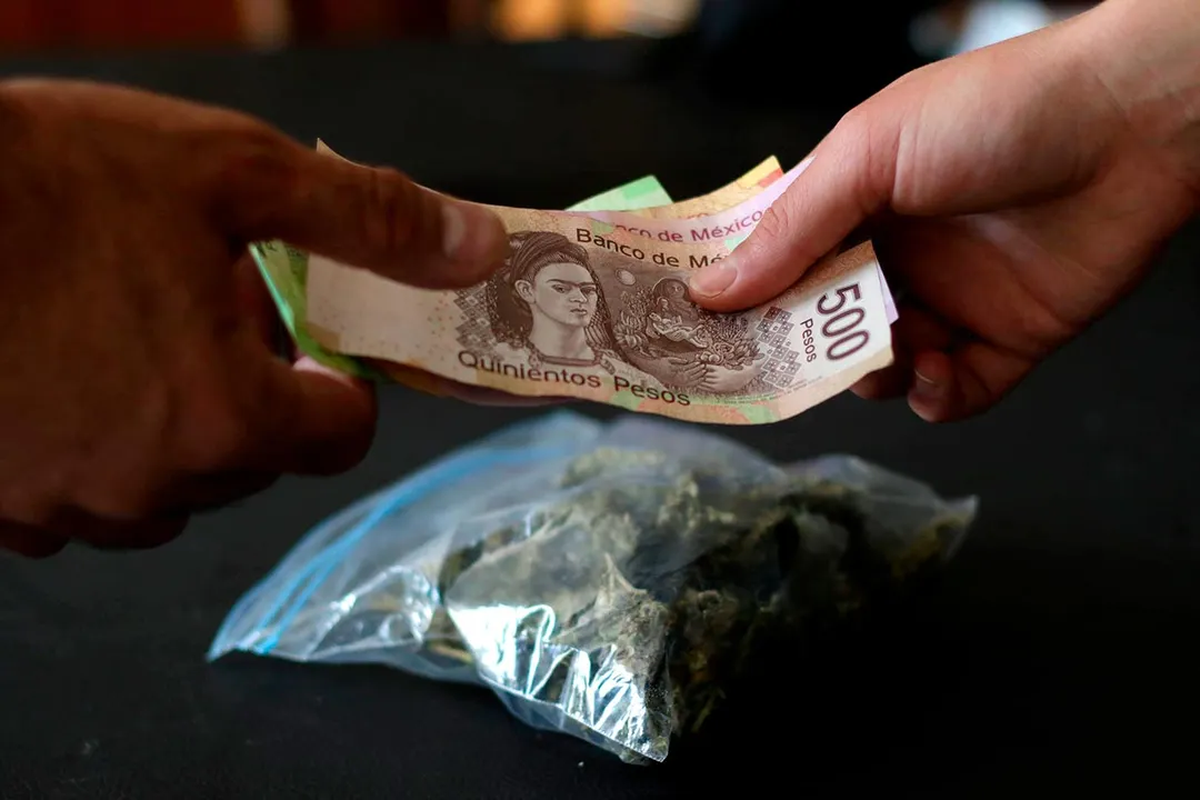 Mariguana Marihuana Narcomenudeo