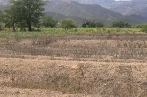 Son inminentes las probabilidades de sequías: Conagua