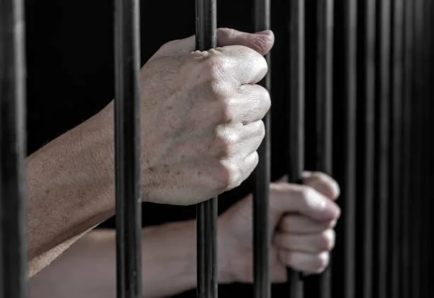 Detenidos