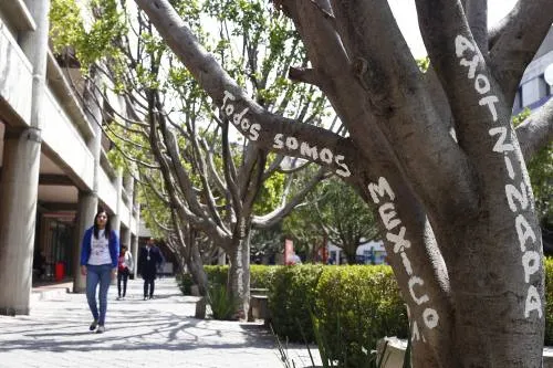 Morena tiene que convencer a ciudadanos para ganar votos: Ibero