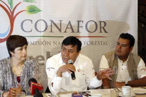Profepa y Conafor supervisan ventas de árboles navideños en la capital