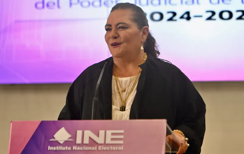 Guadalupe Taddei formaliza su renuncia al INE; Cámara de Diputados inicia proceso para sustituirla