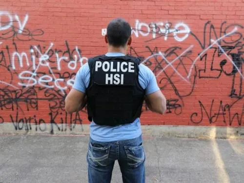 Arresta EU a 267 miembros de la Mara Salvatrucha