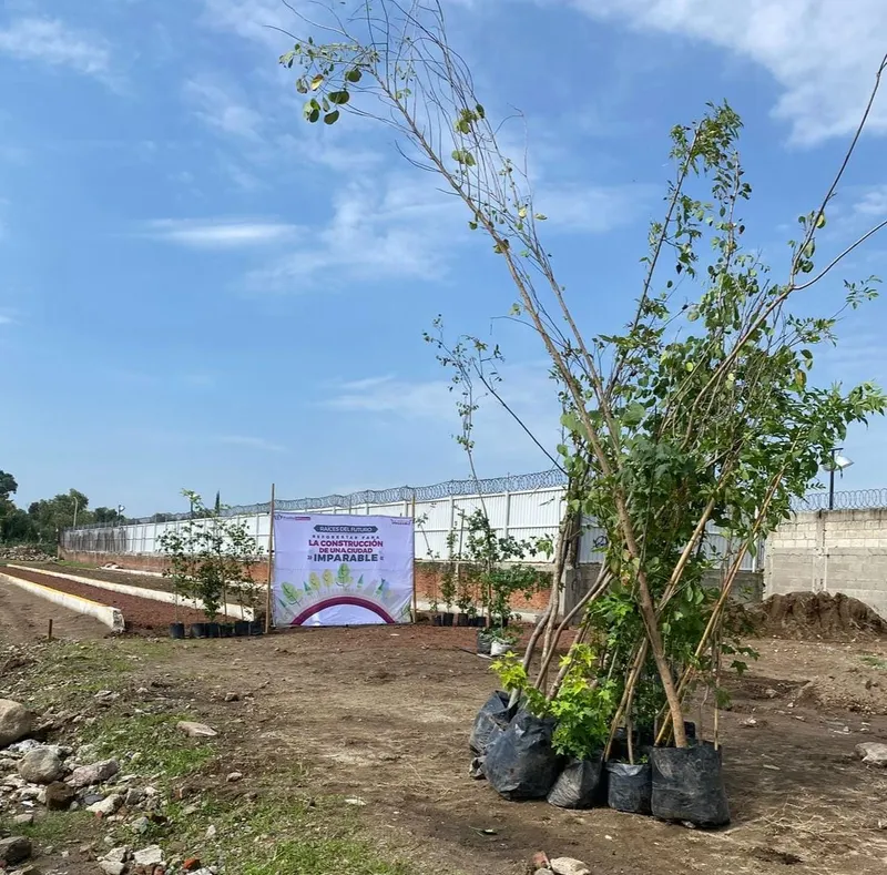ayto-pue-plantacion-arboles-reforestacion