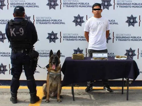 Detuvo Ssptm de Puebla a persona en posesión de más de 2.5 kilogramos de posible marihuana