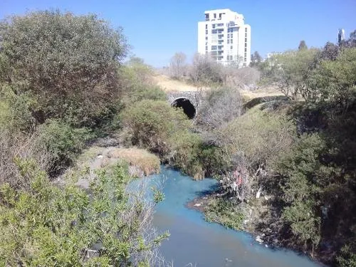 Profepa clausuró ocho empresas desde el 2015, en el marco del saneamiento del Río Atoyac