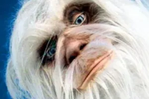 Científicos aseguran haber resuelto el misterio del ”abominable hombre de las nieves”