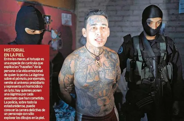 Maras adiestran a cárteles mexicanos; decapitaciones, aprendidas de pandillas: PGR
