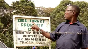 Zika: el bosque de Uganda de donde salió el virus que afecta a América Latina