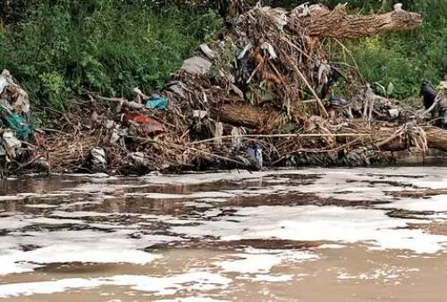 Cuenca del río Atoyac contiene por lo menos 69 toneladas de contaminantes