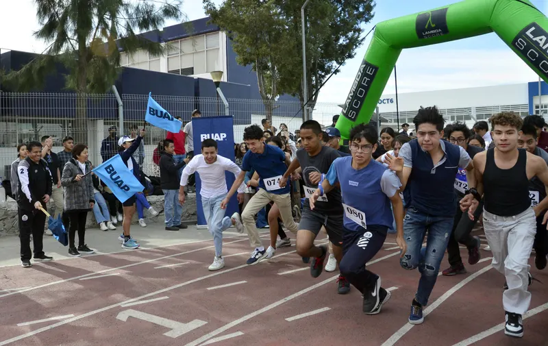 Imagen 2