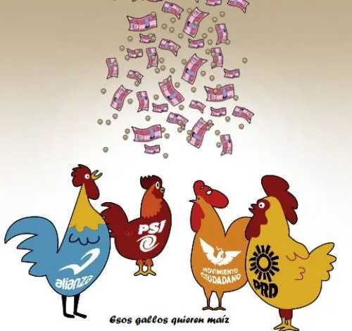 Esos gallos quieren maíz