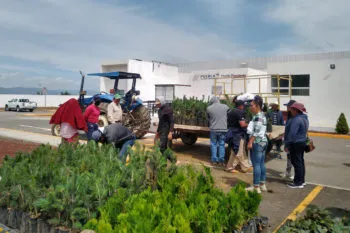 El Gobierno de Puebla hizo entrega de 3 millones 484 mil plantas para reforestación