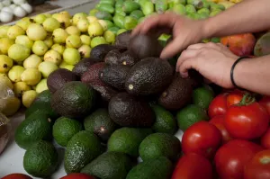 Costo del aguacate a las nubes; llega a los 40 por kilo