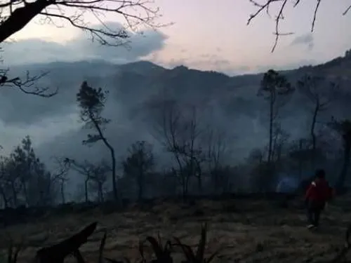 Sofocado el incendio en Ajalpan: Protección Civil Estatal