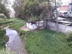 Hay 20 familias asentadas a la orilla del Atoyac en la zona de La Libertad
