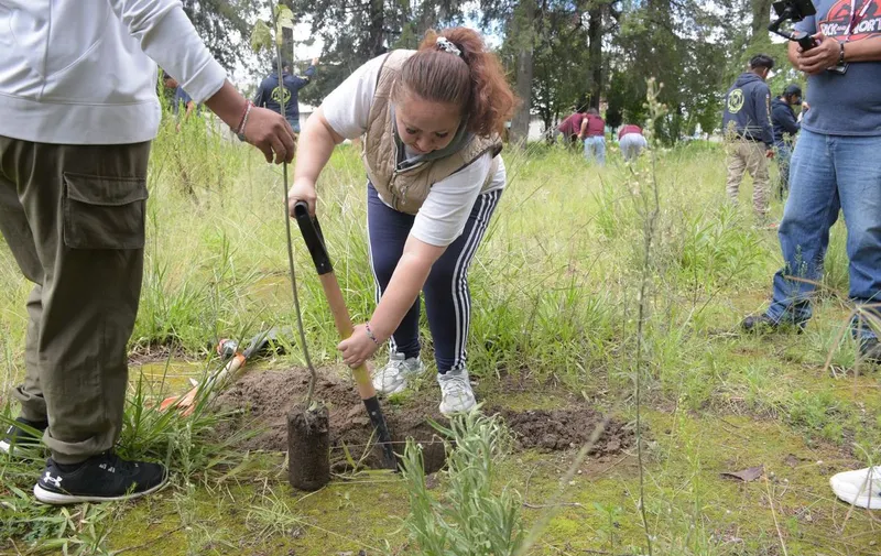 ayto-pue-jornada-reforestacion-bosques-de-amalucan