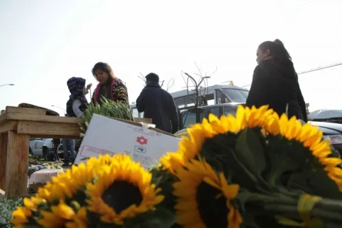 Vendedores de flores y coronas tienen esperanzas de comercializar su mercancía