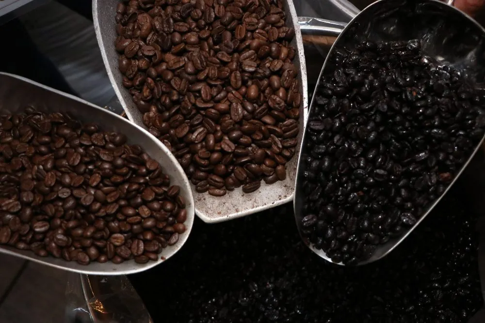 Mantiene SDR apuesta por recuperación de la cafeticultura poblana