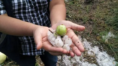 Destina SAGARPA 284.3 mdp para etender contingencias climáticas en el campo poblano