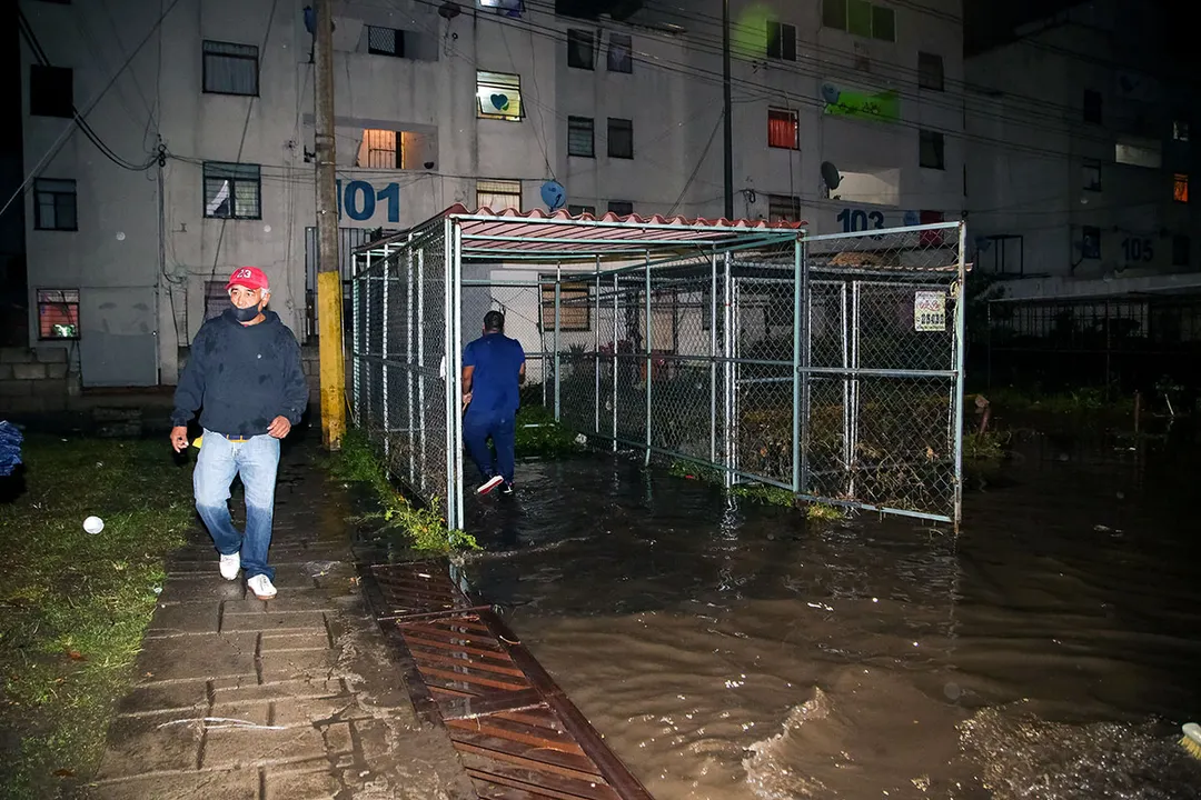 Lluvia Anegaciones Bosques De San Sebastian