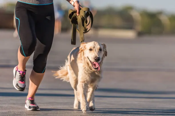 Carrera “Patitas Fugaces”