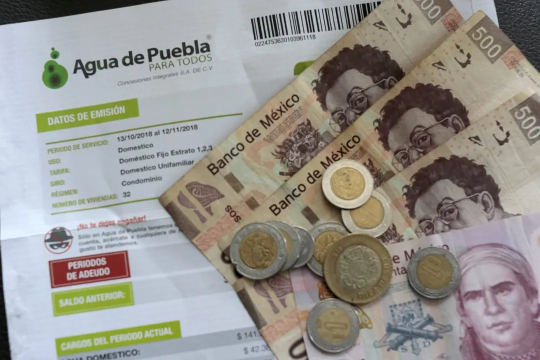 Pago Anual Anticipado 2025