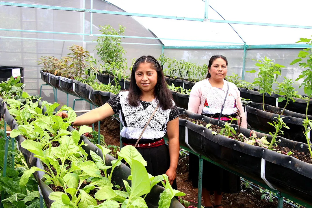 Beneficiarias Modulos Autosuficiencia Alimentaria Bienestar