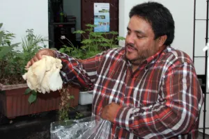 Necesario crear dependencia dedicada a la agricultura municipal: Alonso Cañete