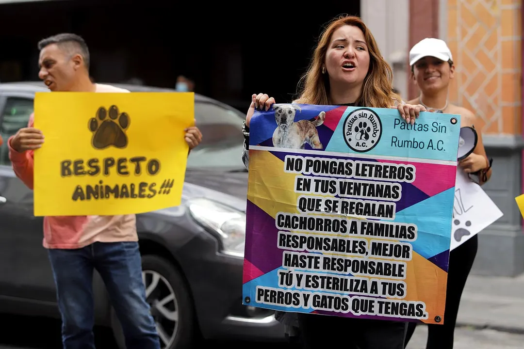 Manif Animalistas Puebla