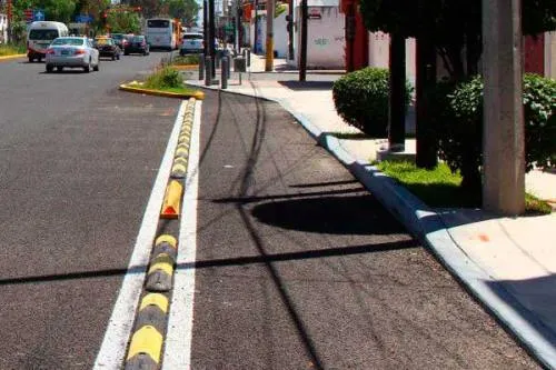 A menos de 6 meses de ser rehabilitado, Bulevar Forjadores carece de mantenimiento y vigilancia