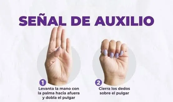 Alicia Villarreal hace señal de auxilio en pleno concierto