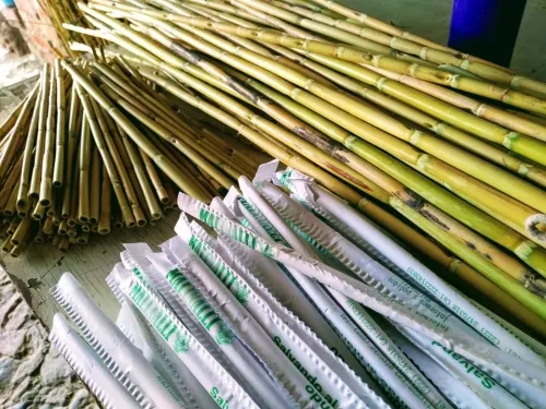 Popotes de carrizo, una alternativa para proteger el medio ambiente
