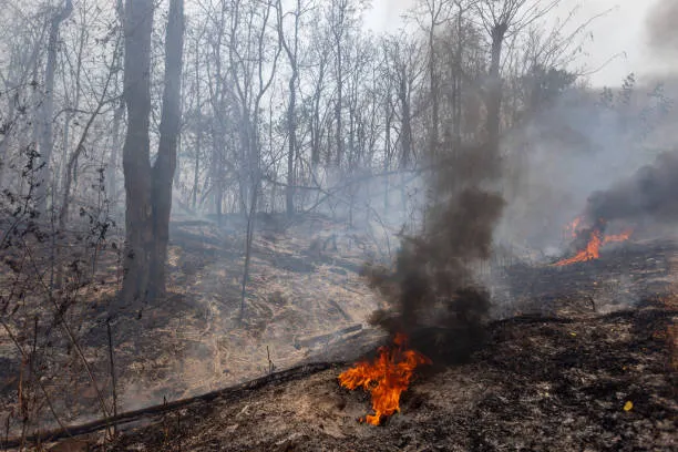 Puebla refuerza medidas contra incendios forestales con monitoreo y coordinación interestatal