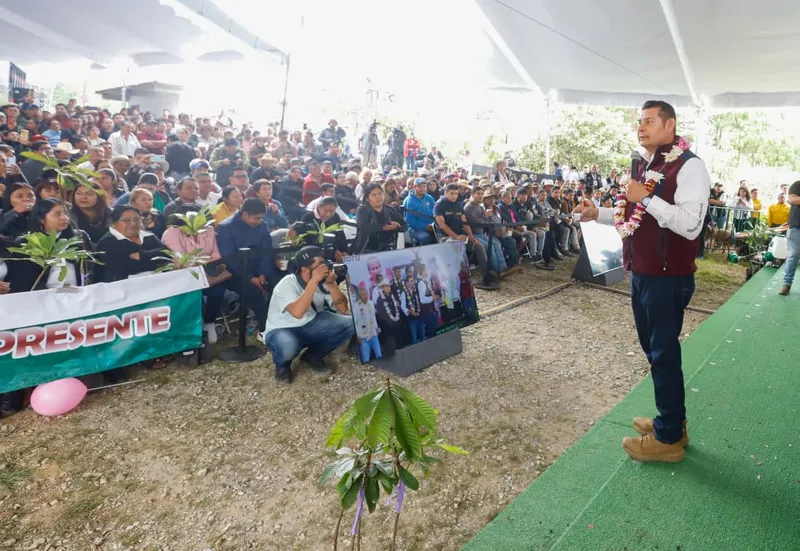 alejandro-armenta-reforestacion-zoquitlan