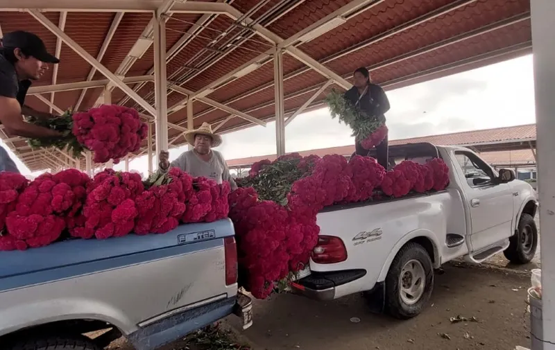 Flores de cempasúchil en Atlixco
