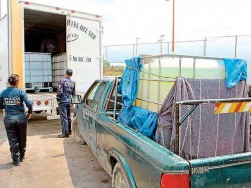 Exedil de Palmar de Bravo va a la prisión