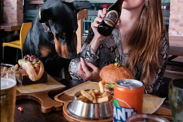 Pet Friendly