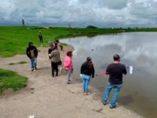 Conagua atiende denuncia por muerte de peces en un jagüey de la junta auxiliar de San Miguel Canoa