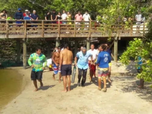 Pánico en Ixtapa… cocodrilo muerde a niño de 6 años