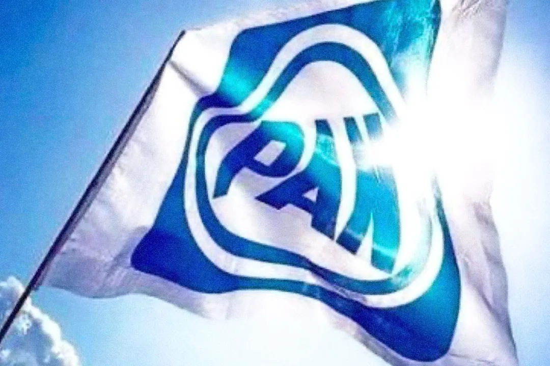 Accion Nacional Pan Bandera